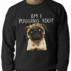 Bewild Am I Pugging You Funny Pug Adult Crewneck Cool Funny & Offensive