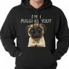 Bewild Am I Pugging You Funny Pug Adult Hoodie 1 Bewild Am I Pugging You Funny Pug Adult Hoodie