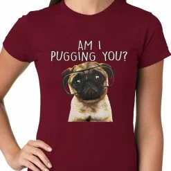 Bewild Cool Funny & Offensive Am I Pugging You Funny Pug Ladies T-shirt