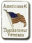 Bewild Americans #1 Thanks To Our Troops Lapel Pin