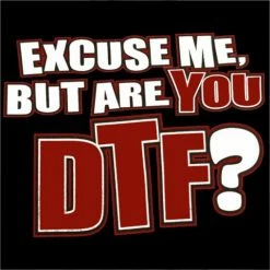 Bewild Are You DTF? Hoodie Cool Funny & Offensive