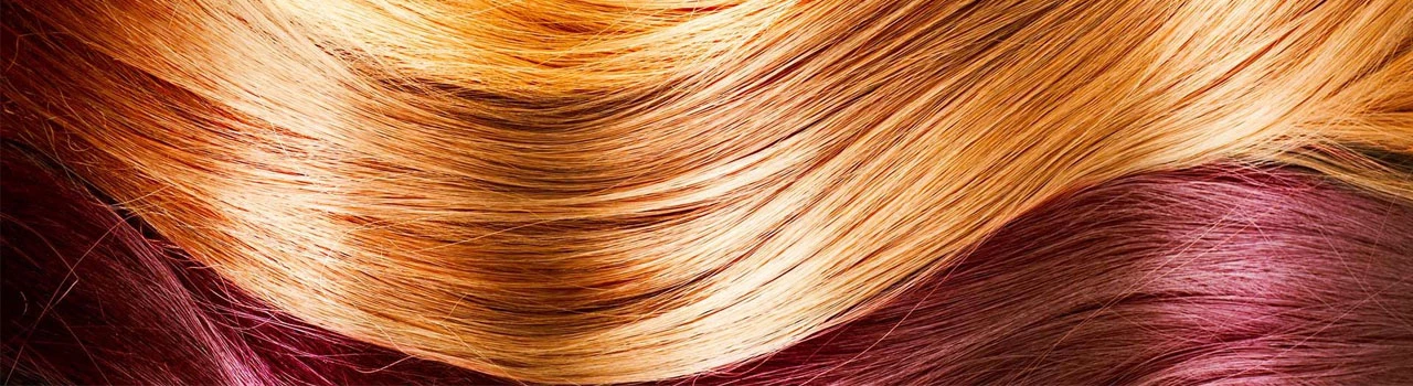 Bewild Sales 2 Bewild Sales -Bewild Sales asfda