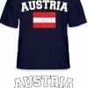 Bewild Nationality & Ethnic Austria Vintage Flag International Mens T-Shirt