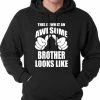 Bewild Positive Reinforcement Awesome Brother Adult Hoodie