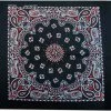 Bewild Bandanas - Black & Red Paisley Bandanna