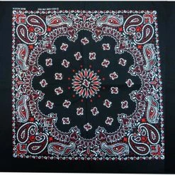 Bewild Bandanas - Black & Red Paisley Bandanna
