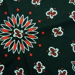 Bewild Bandanas - Black & Red Paisley Bandanna