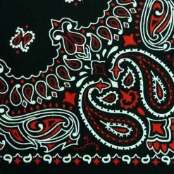 Bewild Bandanas - Black & Red Paisley Bandanna