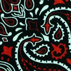 Bewild Bandanas - Black & Red Paisley Bandanna