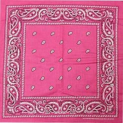 Bewild Bandanas - Hot Pink Paisley Bandana Bandannas