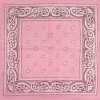 Bewild Bandanas - Light Pink Paisley Bandanna