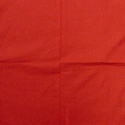 Bewild Bandannas Bandanas - Plain Red Bandana