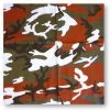Bewild Bandannas Bandanas - Red Camoflauge Bandanna