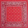 Bewild Bandannas Bandanas - Red Paisley Bandanna