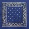 Bewild Bandannas Bandanas - Royal Blue Paisley Bandana