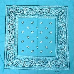 Bewild Bandanas - Turquoise Paisley Bandanna Bandannas