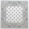 Bewild Bandanas - White Paisley Bandanna Bandannas