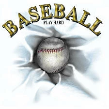 Bewild Baseball Play Hard T-Shirt