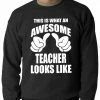 Bewild Positive Reinforcement Best Teacher Ever Adult Crewneck 1 Bewild Positive Reinforcement Best Teacher Ever Adult Crewneck