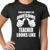 Bewild Best Teacher Ever Ladies T-shirt Positive Reinforcement