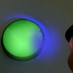 Bewild Black Light Reactive Neon Makeup Discs - .14oz