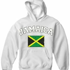 Bewild Nationality & Ethnic Brasil Vintage Shield International Mens Hoodie