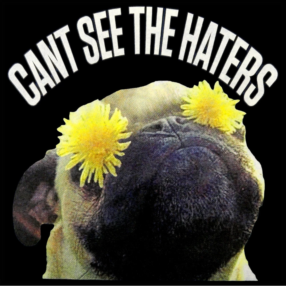 Bewild Can't See The Haters Funny Pug Tank Top Cool Funny & Offensive 10 Bewild Can't See The Haters Funny Pug Tank Top Cool Funny & Offensive
