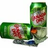 Bewild Canada Dry Diversion Can Safe