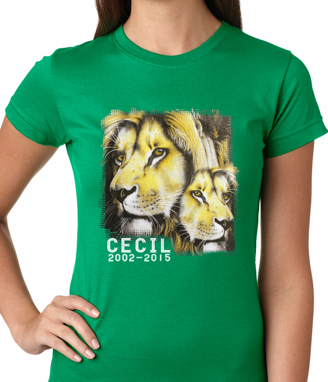Bewild Cecil The Lion Tribute Shirt Ladies T-shirt Cool Funny & Offensive 7 Bewild Cecil The Lion Tribute Shirt Ladies T-shirt Cool Funny & Offensive