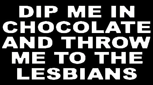 Bewild Dip Me In Chocolate And Throw Me To The Lesbians Girls T-Shirt Cool Funny & Offensive 4 Bewild Dip Me In Chocolate And Throw Me To The Lesbians Girls T-Shirt Cool Funny & Offensive