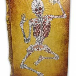Bewild Diversion Safe - Skeleton Book Safe (small)