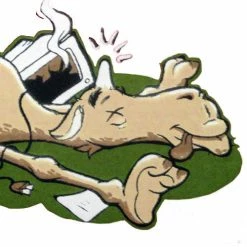 Bewild Does Anyone Else Want To Know What Day It Is? Hump Day Girl's T- Shirt