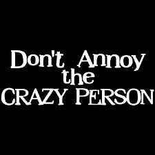 Bewild Dont Annoy The Crazy Person Girls T-Shirt Cool Funny & Offensive