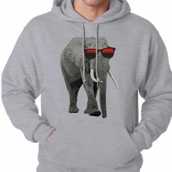 Bewild Cool Funny & Offensive Elephant Wearing Sunglasses Adult Hoodie