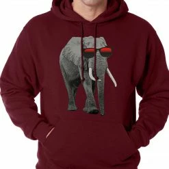 Bewild Cool Funny & Offensive Elephant Wearing Sunglasses Adult Hoodie