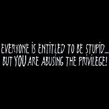 Bewild Everyone Is Entitled To Be Stupid GirlsT-Shirt