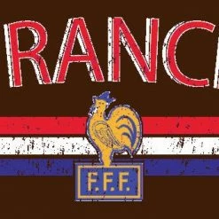 Bewild France Vintage Shield International Mens T-Shirt Nationality & Ethnic