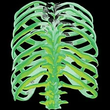 Bewild Glow Spine T-Shirt (Back Print) 4 Bewild Glow Spine T-Shirt (Back Print)