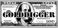 Bewild Golddigger Girls T-Shirt Cool Funny & Offensive
