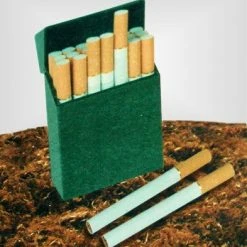 Bewild Cigarette Cases Hard Box Full Pack Cigarette Case (Regular Size)