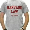 Bewild Cool Funny & Offensive Harvard Law Just Kidding Men's T-Shirt