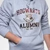 Bewild Hogwarts Alumni Galaxy Adult Hoodie Comic Con & Gaming Clothing Video Game