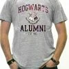 Bewild Comic Con & Gaming Clothing, Video Game Hogwarts Alumni Galaxy Men's T-Shirt