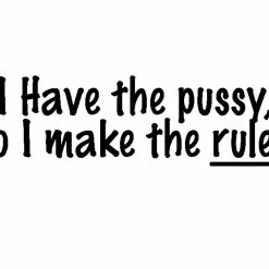 Bewild Cool Funny & Offensive I Have The Pus*y... Girls T-Shirt