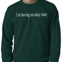 Bewild Cool Funny & Offensive I'm Having An Okay Time Adult Crewneck