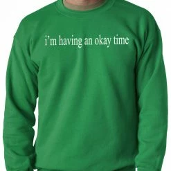 Bewild Cool Funny & Offensive I'm Having An Okay Time Adult Crewneck