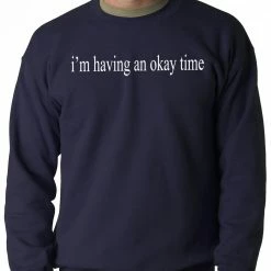 Bewild Cool Funny & Offensive I'm Having An Okay Time Adult Crewneck