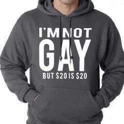 Bewild I'm Not Gay But 20 Dollars Is 20 Dollars Adult Hoodie Cool Funny & Offensive 13 Bewild I'm Not Gay But 20 Dollars Is 20 Dollars Adult Hoodie Cool Funny & Offensive