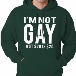 Bewild I'm Not Gay But 20 Dollars Is 20 Dollars Adult Hoodie Cool Funny & Offensive 14 Bewild I'm Not Gay But 20 Dollars Is 20 Dollars Adult Hoodie Cool Funny & Offensive