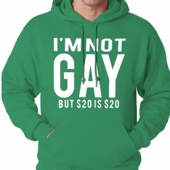 Bewild I'm Not Gay But 20 Dollars Is 20 Dollars Adult Hoodie Cool Funny & Offensive 15 Bewild I'm Not Gay But 20 Dollars Is 20 Dollars Adult Hoodie Cool Funny & Offensive